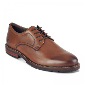 Men Rockport Cedric Dress Lace-up Almond Toe Oxford Shoes Dark Brown USA | JX2-86038