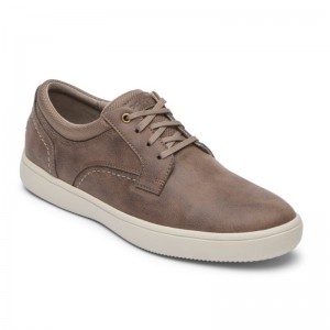 Men Rockport Colle Plain Toe Sneakers Brown USA | XB6-34393