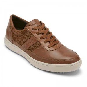 Men Rockport Colle Ubal Sneakers Brown USA | AZ1-87108