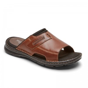 Men Rockport Darwyn 2 Slides Brown USA | GA0-38833