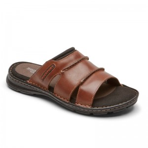 Men Rockport Darwyn Slides Brown USA | TL4-13041