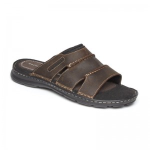 Men Rockport Darwyn Slides Brown USA | UP0-11651