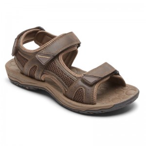 Men Rockport Hayes Quarter-Strap Sandals Brown USA | YH2-98709