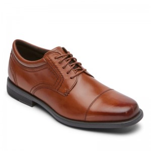 Men Rockport Isaac Cap Toe Oxford Shoes Brown USA | DE9-75587