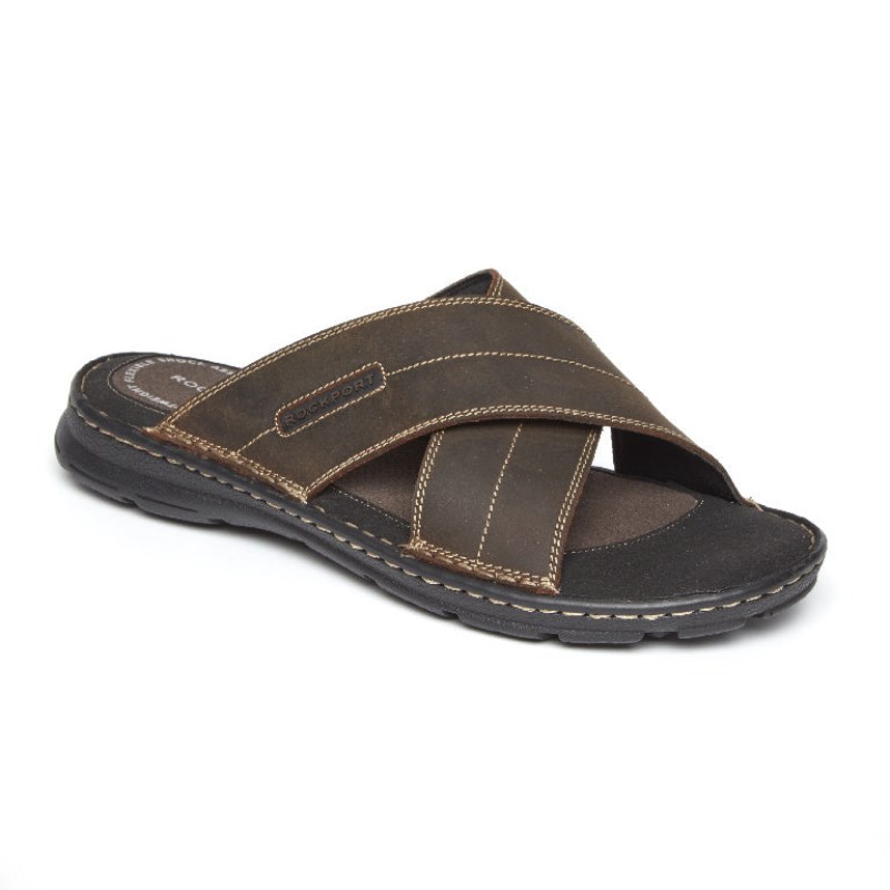 Men Rockport Darwyn Cross Band Slides Brown USA | OT6-86708