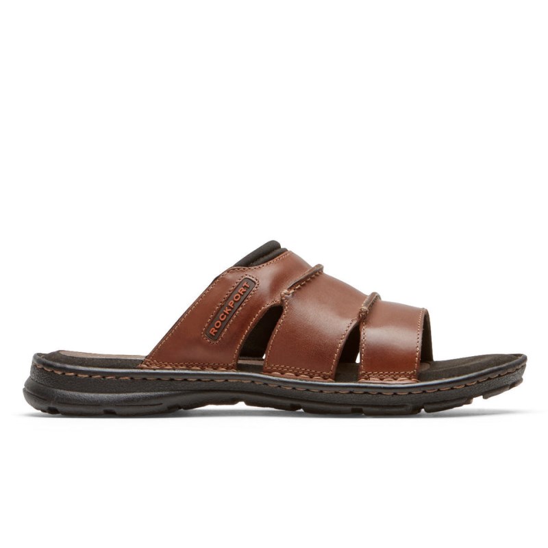 Men Rockport Darwyn Slides Brown USA | TL4-13041