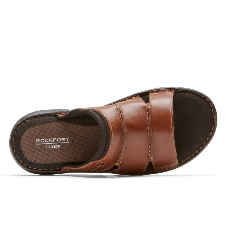 Men Rockport Darwyn Slides Brown USA | TL4-13041