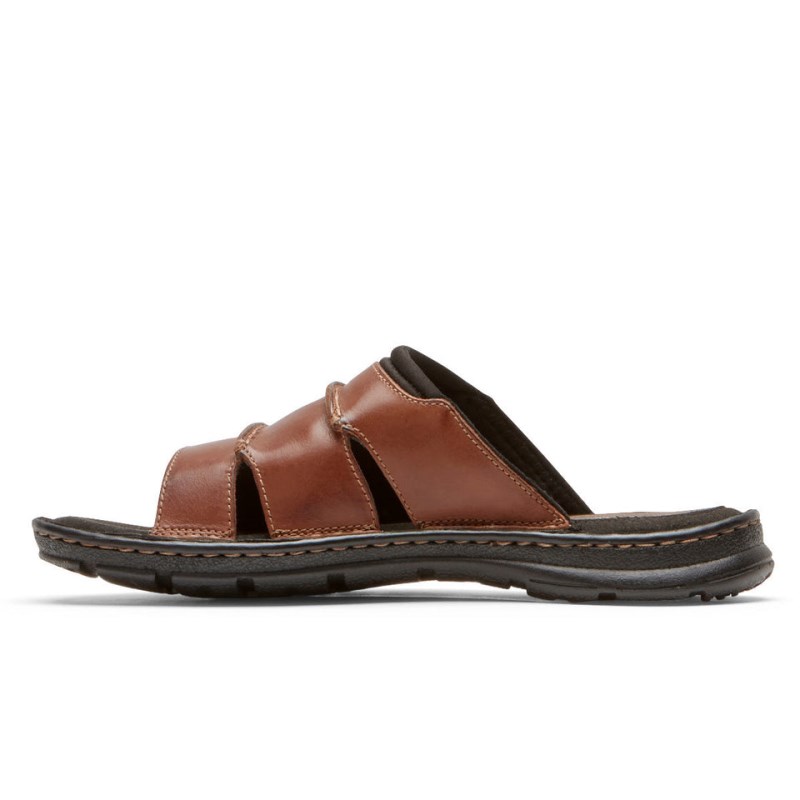 Men Rockport Darwyn Slides Brown USA | TL4-13041