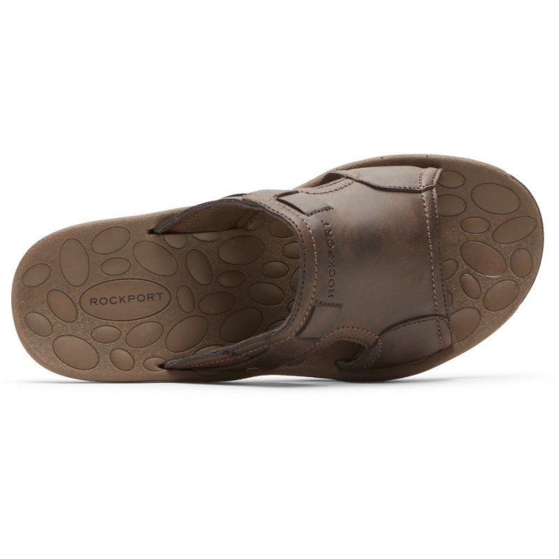 Men Rockport Hayes Slides Brown USA | EK6-43154