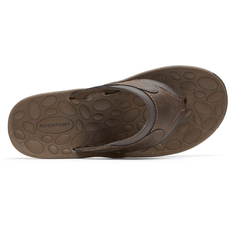 Men Rockport Hayes Thong Sandals Brown USA | FX0-36783