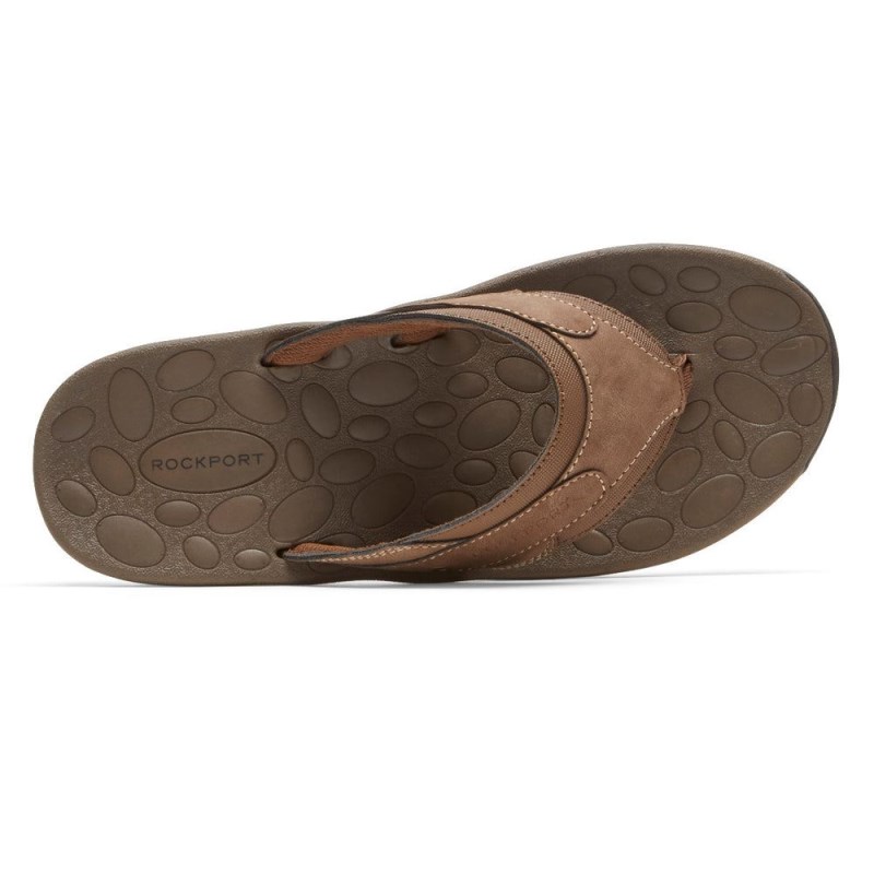 Men Rockport Hayes Thong Sandals Brown USA | VN5-55395